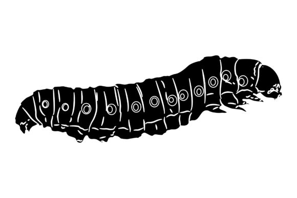 Caterpillar Vector Design Solid Color