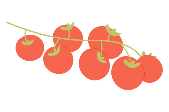 Cherry Tomatoes Color Icon. Fresh Vegeta Graphics