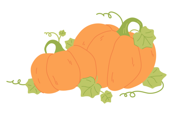 Growing Pumpkin Color Icon: Autumn Graphics & Illustrations