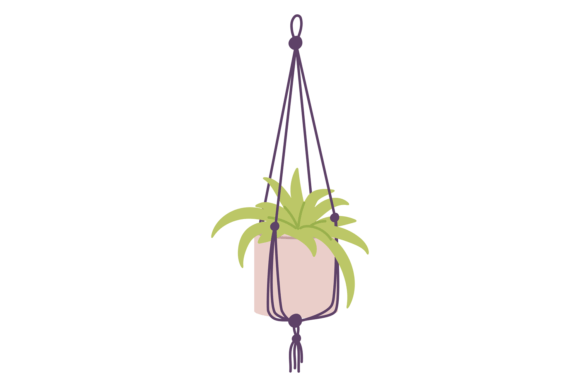 Hanging Houseplant on Rope Color Icon: Graphics & Illustrations