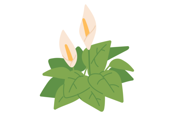Peace Lily Color Icon Graphics & Illustrations