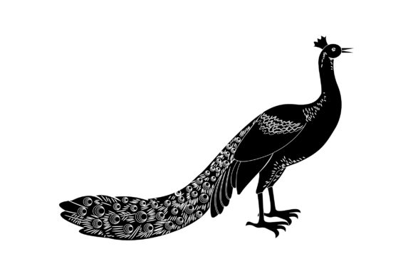 Peacock Vector Design Solid Color Graphics