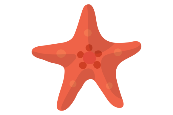 Starfish Color Icon: Graphics for Red Sea Fauna
